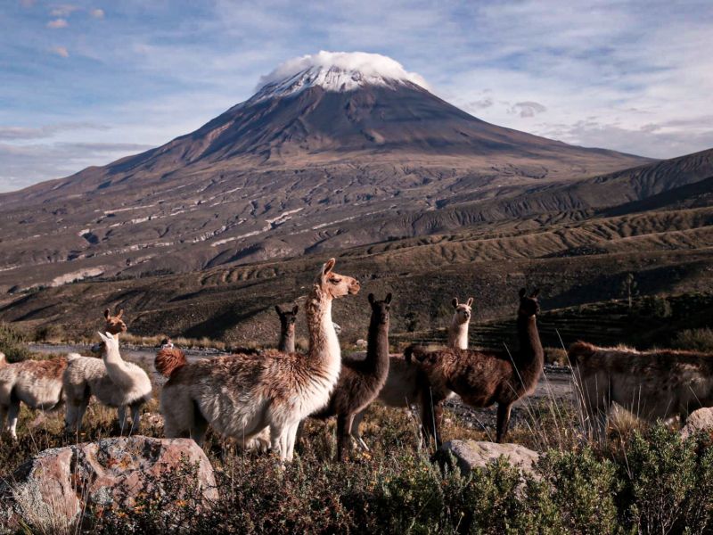 Bus Directo Chivay a Arequipa