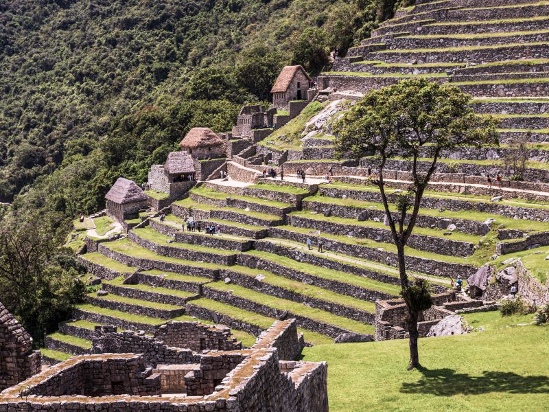 Boleto Circuito 3 - Machu Picchu Realeza