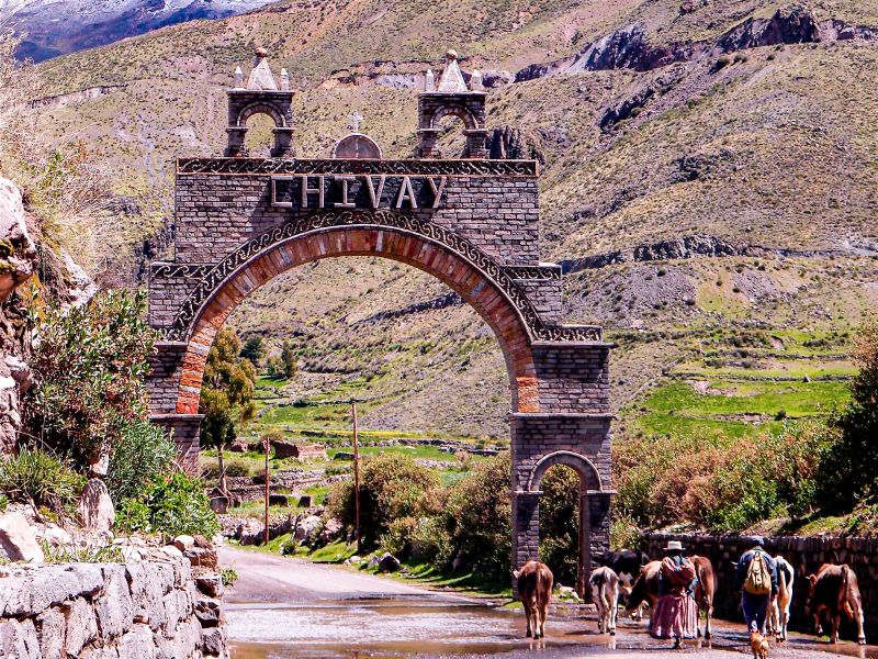 Tour Cañon del Colca Trekking 2D/1N Clásico