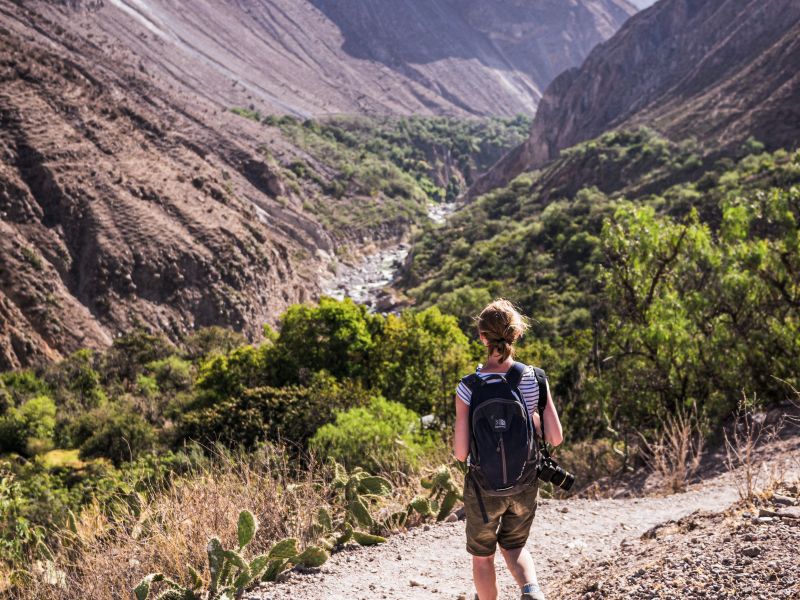 Tour Cañon del Colca Trekking 2D/1N Clásico