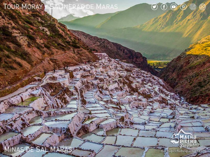 Tour Moray y Salineras de Maras