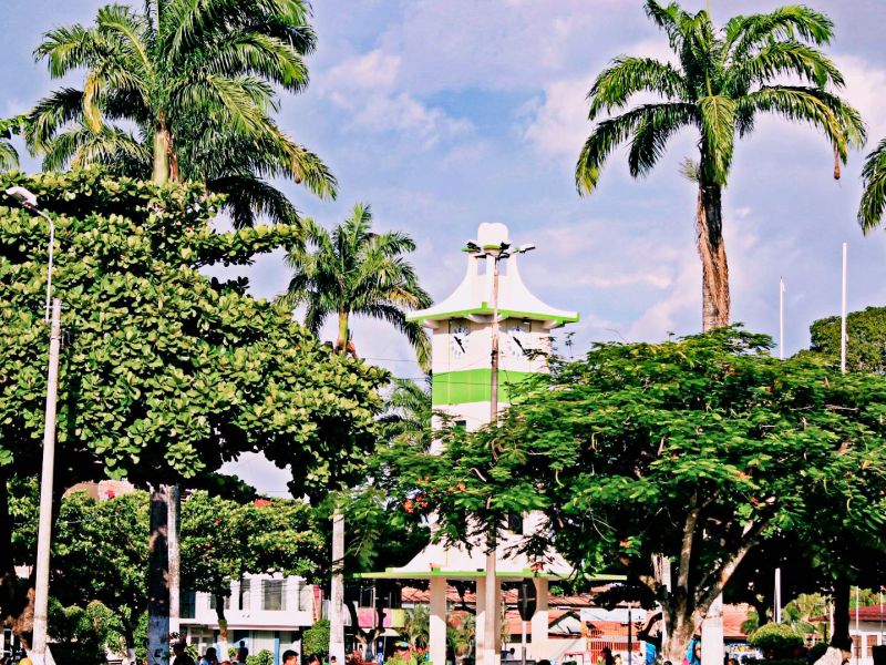 Tour Tambopata, Collpa de loros + Caimán 2 Dias 1 Noche