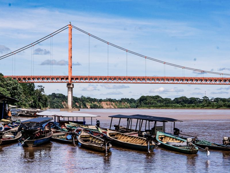 Tour Tambopata, Collpa de loros + Caimán 2 Dias 1 Noche