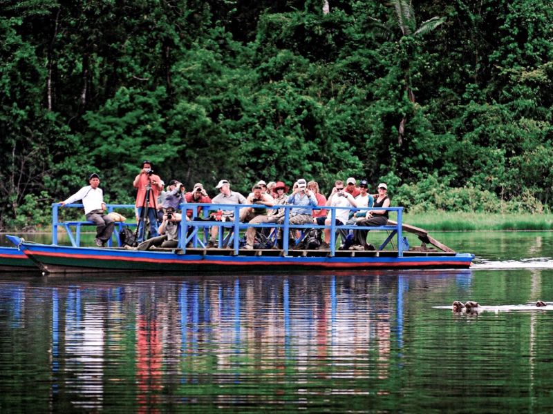 Tour Tambopata, Collpa de loros + Caimán 2 Dias 1 Noche
