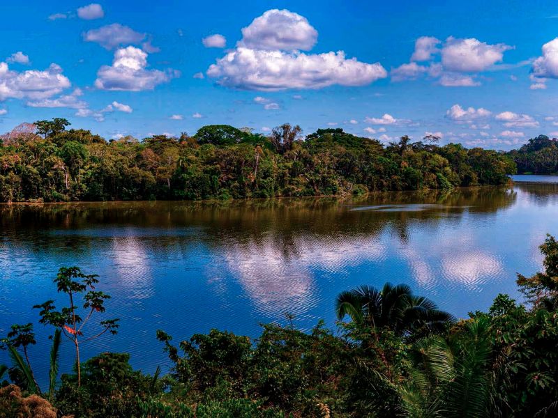 Tour Tambopata 2 Dias 1 Noche