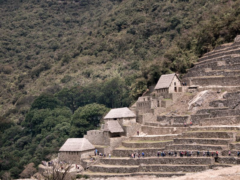 Tour Inca Jungle Trek 4 Días 3 Noches