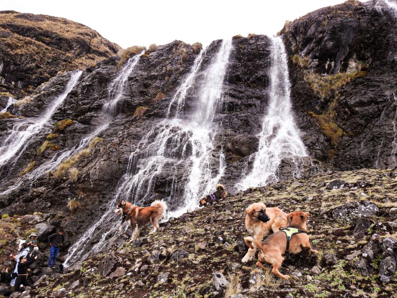 Machu Picchu Lares Trek 4 Días y 3 Noches