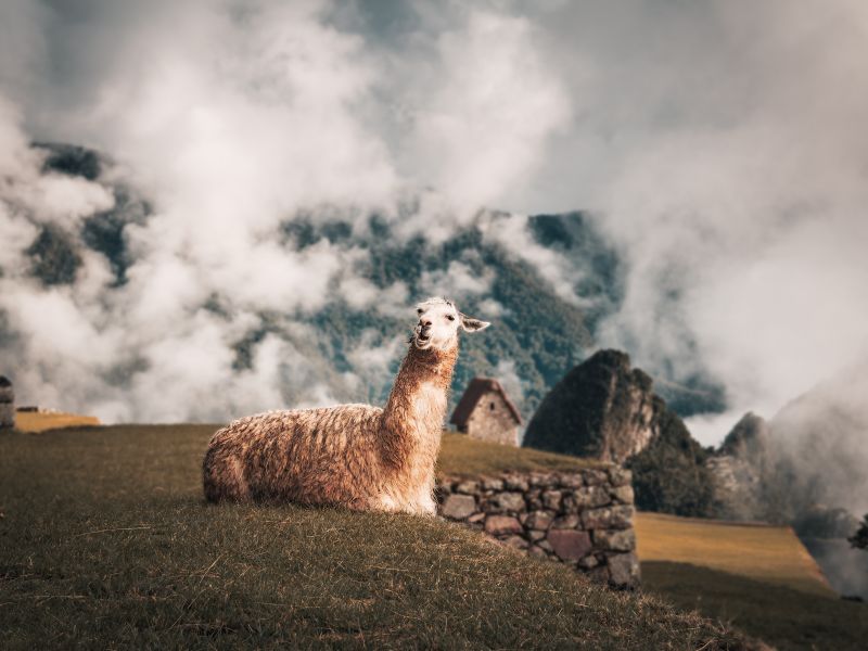 Machu Picchu Clasico por Tren 6 Días y 5 Noches (Ejecutivo)