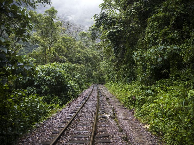 Tour Inca Jungle Trek + Machu Picchu (4 Días 3 Noches)
