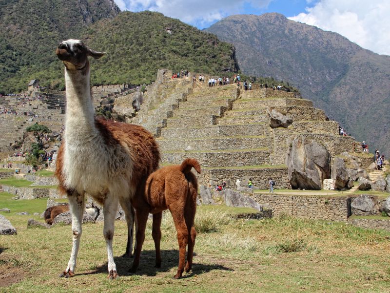 Machu Picchu Clasico por Tren 5 Dias y 4 Noches (Ejecutivo 5D/4N)